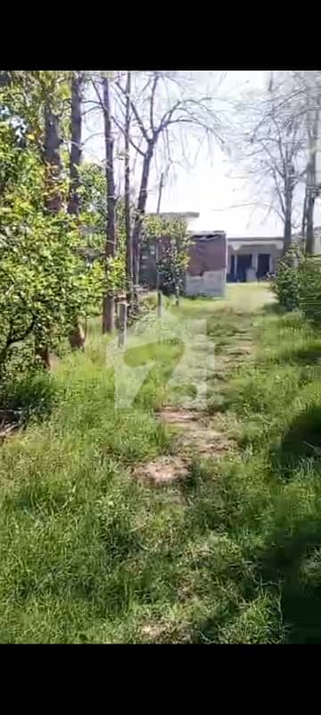کوٹ فتح خان فتح جھنگ میں 7 کمروں کا 7 کنال فارم ہاؤس 2.8 کروڑ میں برائے فروخت۔