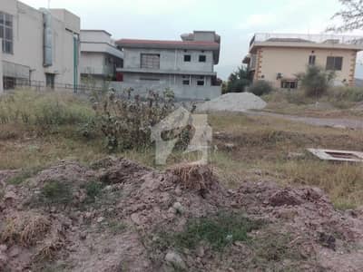 G-11/3 Mini Commercial Class 3 Plot Available For Sale