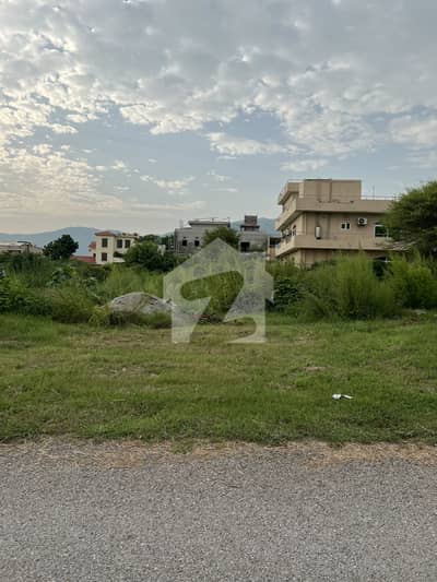 Prime Location 500 Sq yard Residential Plot For Sale Located D-12 Isb