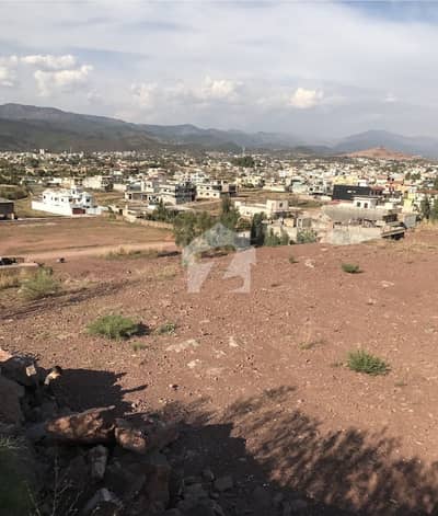 18 Kanal Open Plot for Sale by an overseas Owner