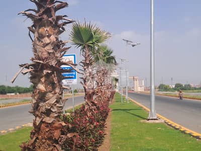 M Block 10 Marla Plot For Sale