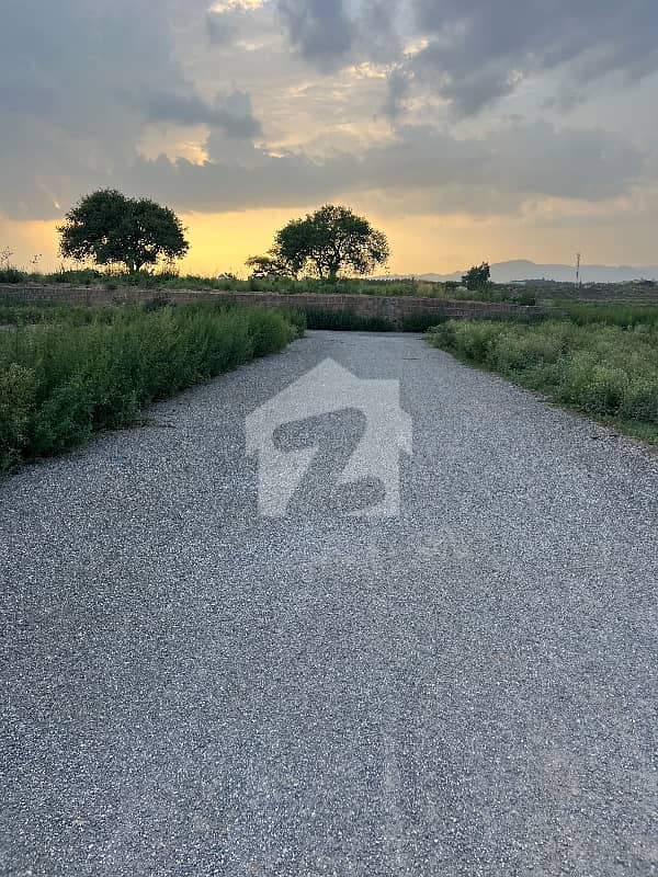 50 50