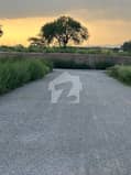 30 30