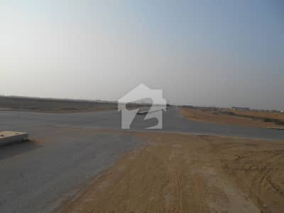 Residential Plot For Grabs In 1000 Square Yards Karachi