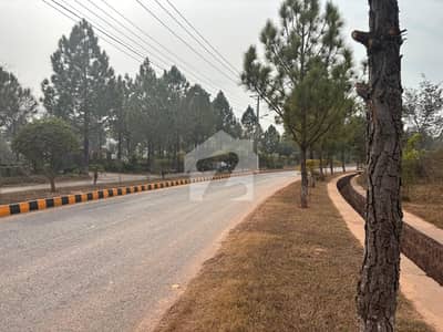 20 Kanal | Main Boulevard | 21 Crore | Sector "A"