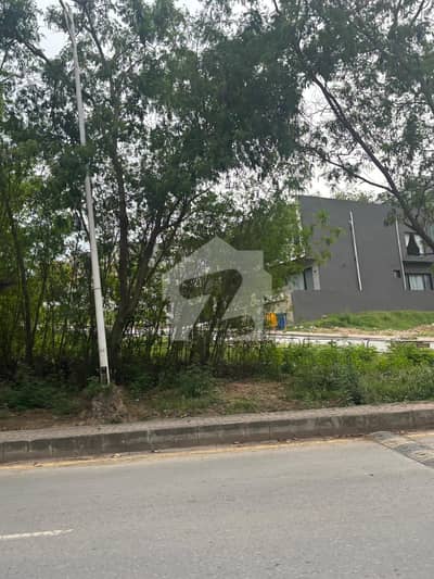 Investment Plot For Sale In Khalid Block