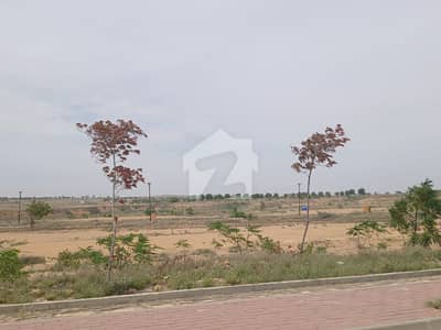 Street 6 Plot