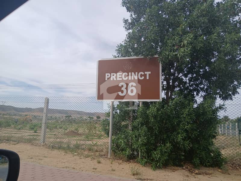 5 5