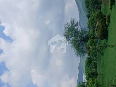 D12/3 30*60 Level Beautiful Plot For Sale