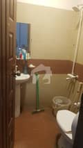 3 3