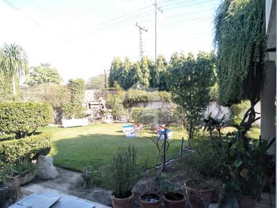 2 Kanal House for Sale in DHA Phase 1 Prime Location | Very Solid Construction 2 Kanal House for Sale in DHA Phase 1 Prime Location | Very Solid Construction