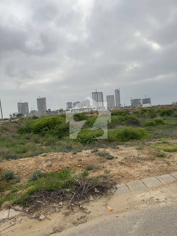1000 Sq. Yards. Main Zulfiqar Avenue West Open 1000 Sq. Yards. Main Zulfiqar Avenue West Open