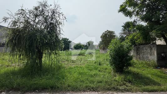 5 Marla Top Location Plot Phase 9 Town Block A