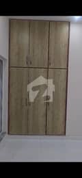 6 6