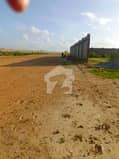 1 1