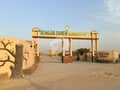6 6