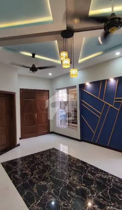 8 Marla Single Storey House For Rent