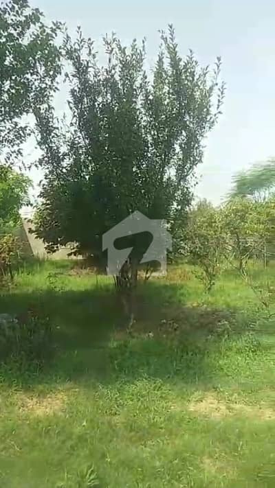 Multi Orchard Farm Plot for sale