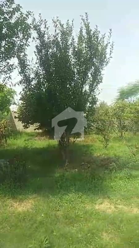 Multi Orchard Farm Plot for sale Multi Orchard Farm Plot for sale