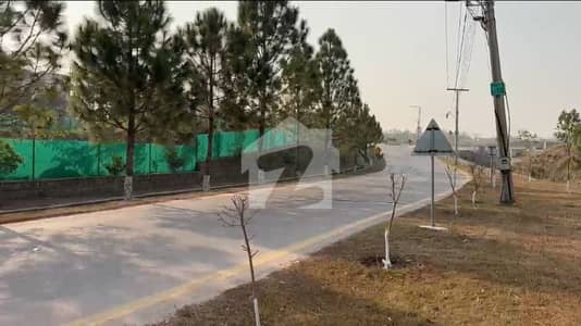 5 Kanal Corner PN Farm House Plot, Double Road, Heighted Location