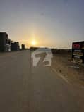 1 1