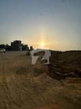 8 8