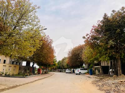 Plot For Sale In Sector I Possession Utility Paid Best Location For Living Bahria Enclave Islamabad