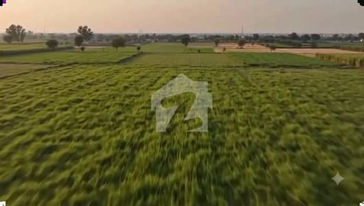 Lahore Organic Farms Society Located on Main Barki Road, Lahore.