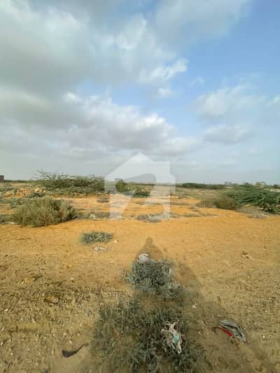 64 Sq. Yards Plot For Sale Sector 11-D, Surjani Town