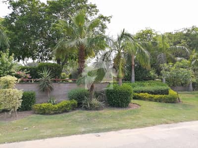 6 Marla Commercial Plot For Sale In Faisalabad 6 Marla Commercial Plot For Sale In Faisalabad