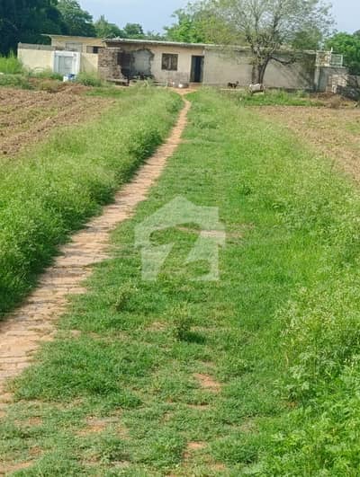 10 Kanal Agriculture Land For Rent