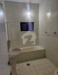 7 7