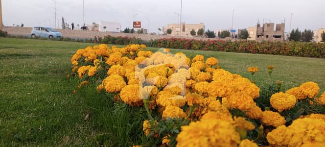 FOR SALE | BOULEVARD SEMI-CORNER PLOT | 125 SQ YD | PRECINCT-27 | BAHRIA TOWN KARACHI