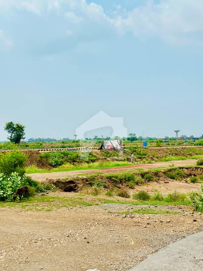 LDA City L Block 5 Marla Plot for Sale | Prime Location | 300 Ft Access & Near Pine Avenue