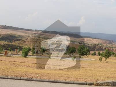 DHA valley Islamabad sector bognvillage