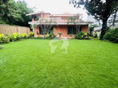 Luxury House Available For Rent