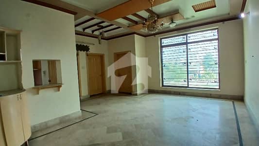 10 Marla Portion Wapda Town Ph1 For Rent
