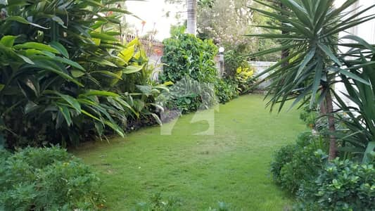 FULLY FURNISHED HOUSE FOR RENT IN F-8