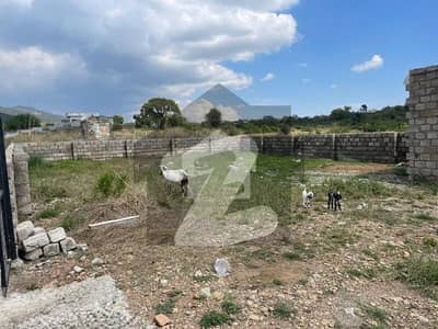 Get This Amazing 2 Kanal Farm House Available In Shah Allah Ditta