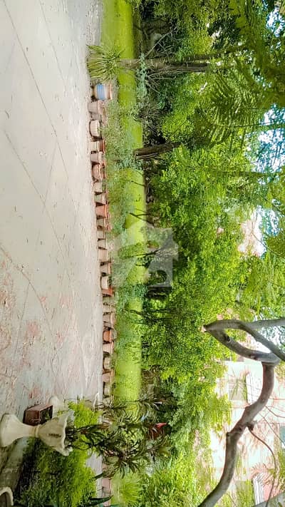 شامی روڈ کینٹ,لاہور میں 3 کمروں کا 5 کنال مکان 70.0 کروڑ میں برائے فروخت۔
