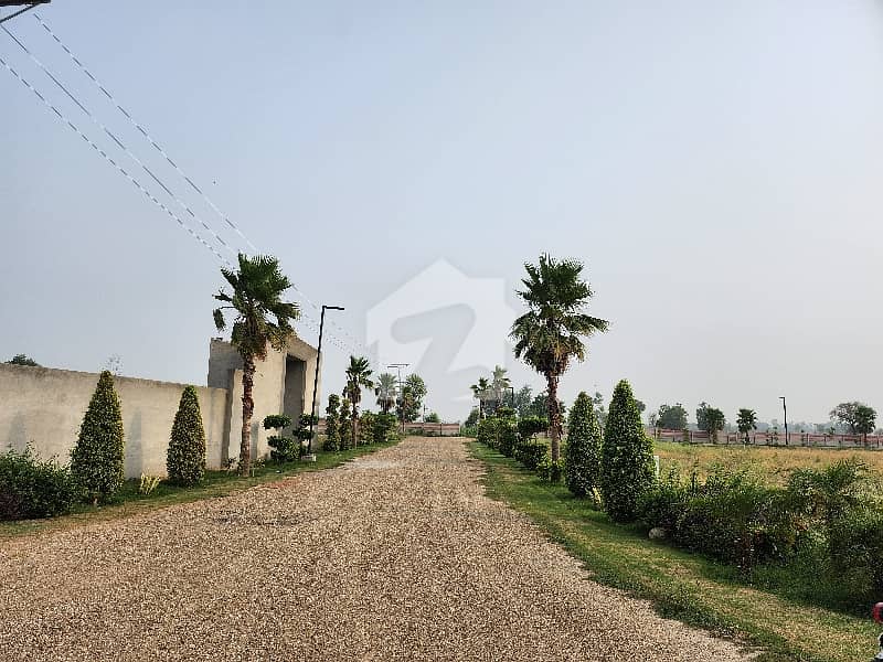 برکی روڈ کینٹ,لاہور میں 8 کنال رہائشی پلاٹ 8.8 کروڑ میں برائے فروخت۔ برکی روڈ کینٹ,لاہور میں 8 کنال رہائشی پلاٹ 8.8 کروڑ میں برائے فروخت۔