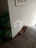 7 7