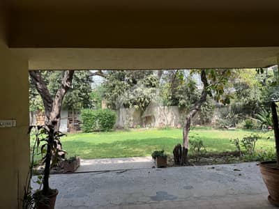 5.5 KANAL PLOT IN MAIN CANTT