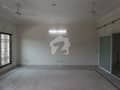 6 6