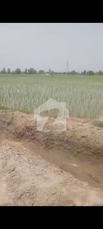 352 Kanal Agricultural Land for sale in Vehari Road