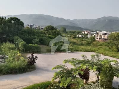 20 Marla Upper Portion In D-12 For Rent
