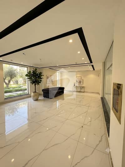 8 Marla Basement Floor Office For Rent