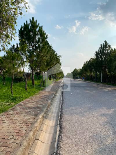 A Executive 5 Kanal Develop Possession Formhouse Plot Highted Location Available For Sale
