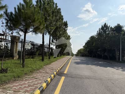 گلبرگ گرینز ۔ بلاک ای گلبرگ گرینز,گلبرگ,اسلام آباد میں 5 کنال رہائشی پلاٹ 13.0 کروڑ میں برائے فروخت۔ گلبرگ گرینز ۔ بلاک ای گلبرگ گرینز,گلبرگ,اسلام آباد میں 5 کنال رہائشی پلاٹ 13.0 کروڑ میں برائے فروخت۔