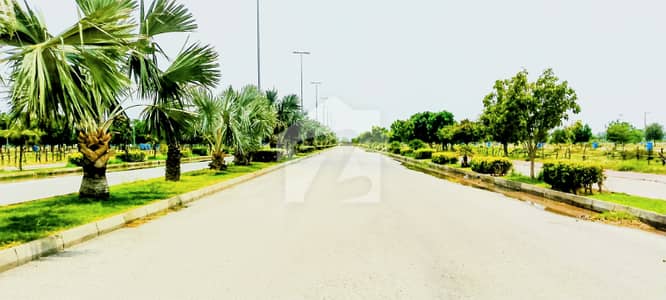 5 Marla Low Budget Plot For Sale | Sasta Tareen Plot For Sale | 5 marla affordable plot for sale